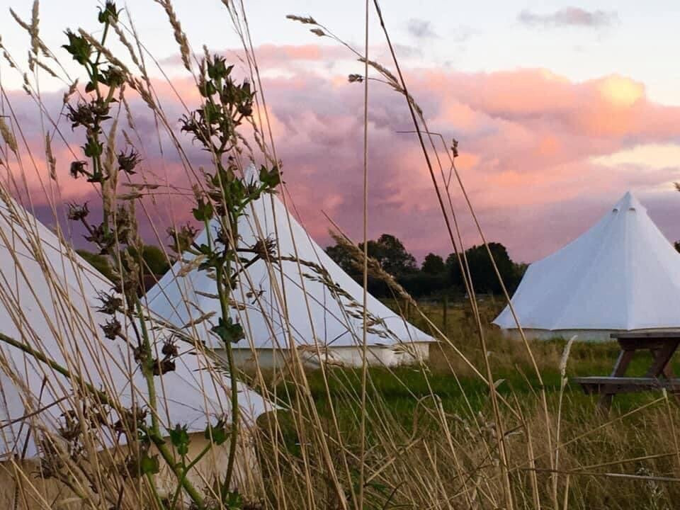 Orchard View Farm Camping And Glamping