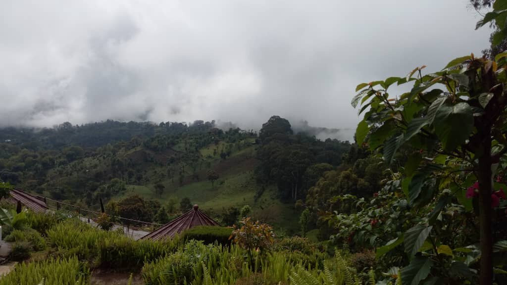 乞力马扎罗山景观旅馆主图