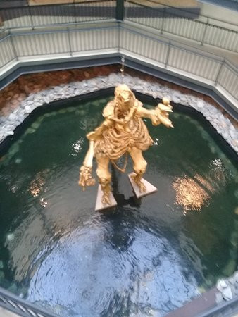 Museu da Natureza景点图片