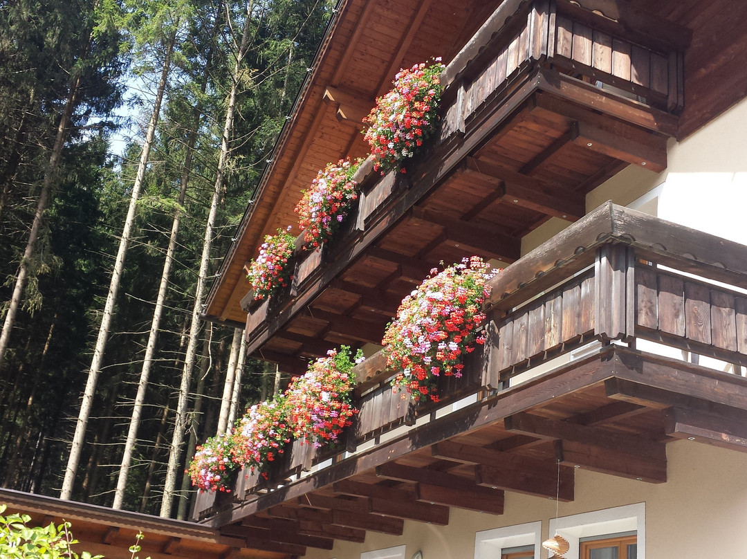 Pension Marcher主图