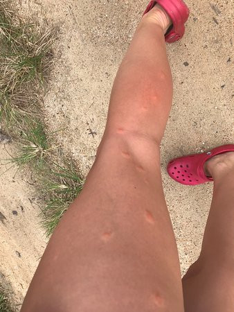 马利布海滩度假村主图