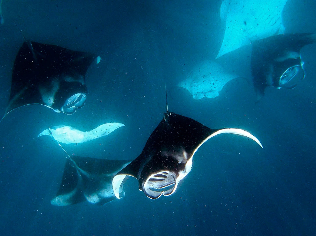 Maldivers-Maalhos必去景点