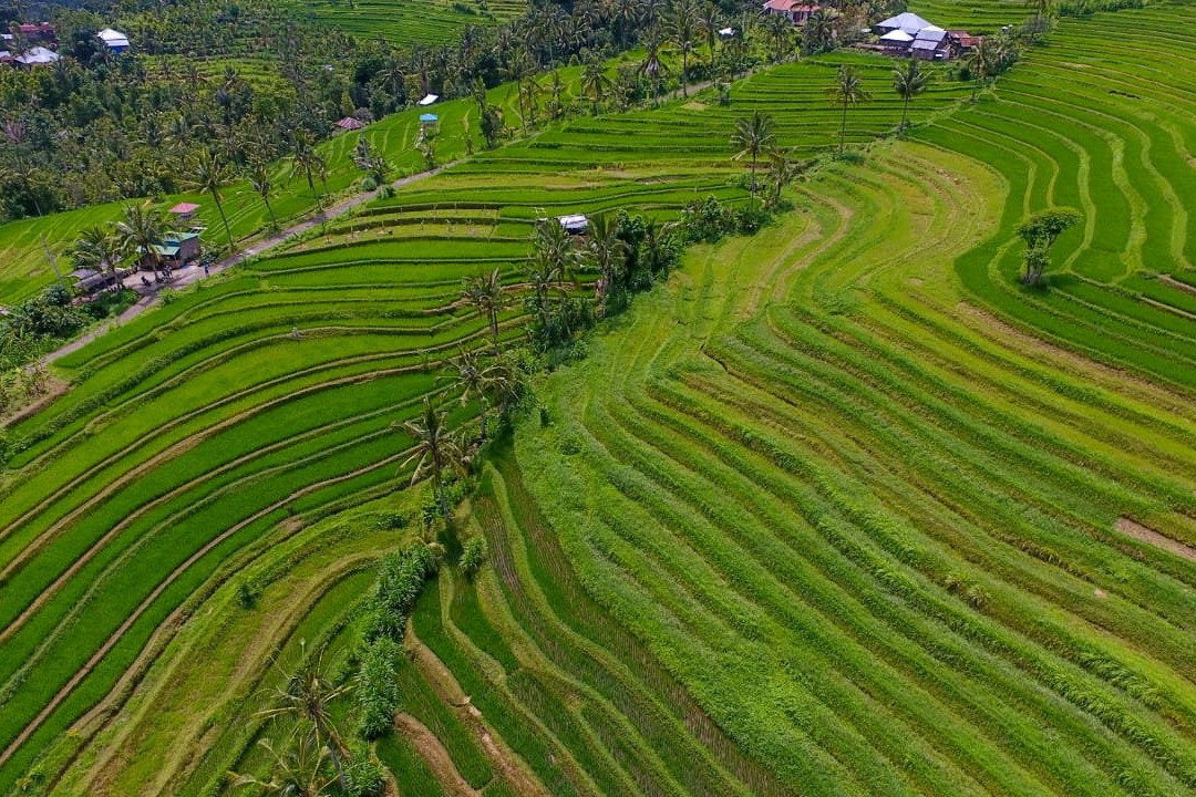 Sambangan Village景点图片