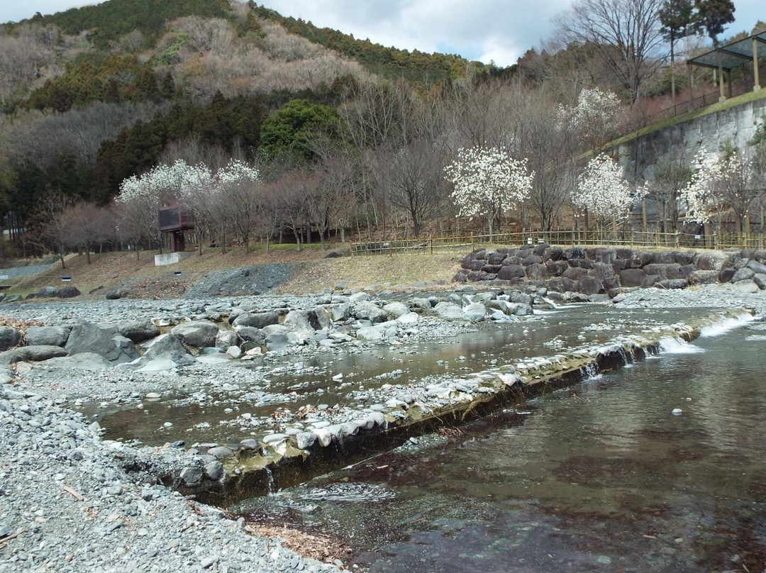 秦野市旅游攻略图片