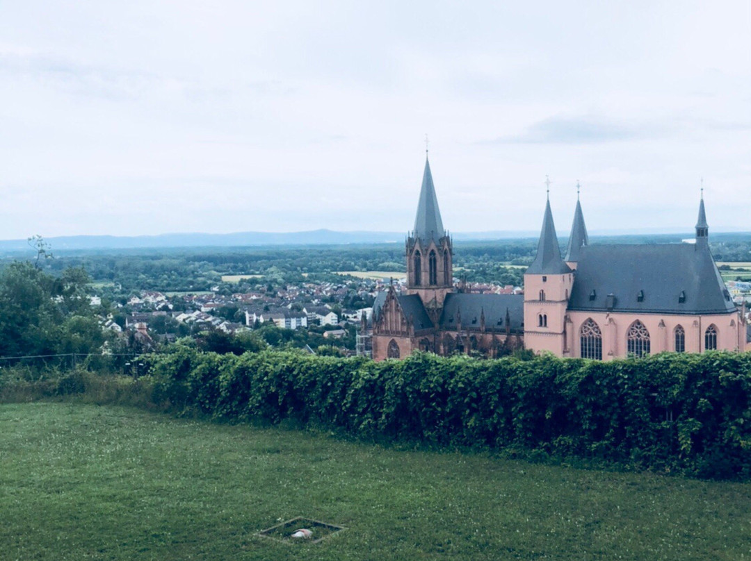 Burg Landskron景点图片