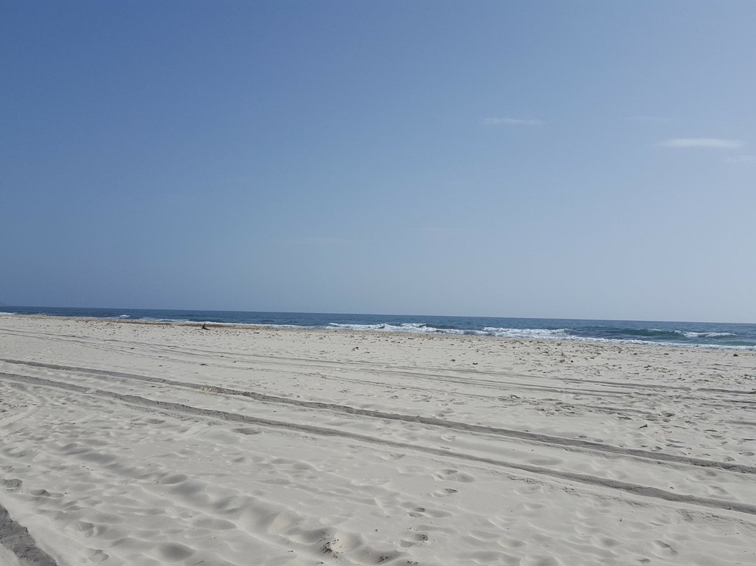 Menzel Temime旅游攻略图片