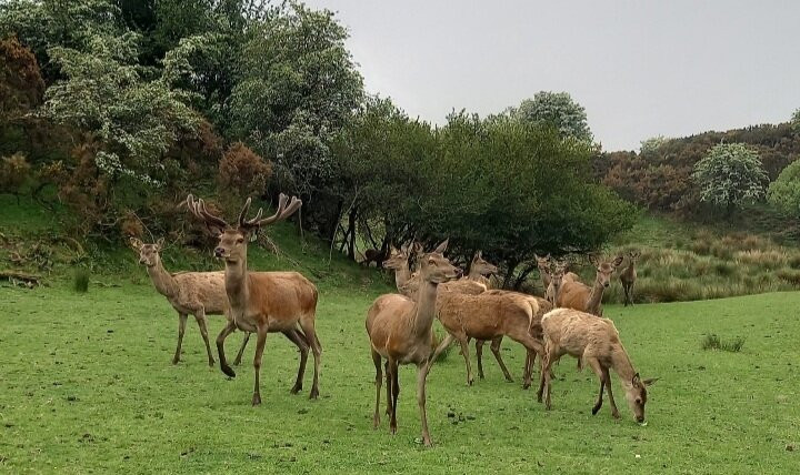 Gledpark-Borgue必去景点