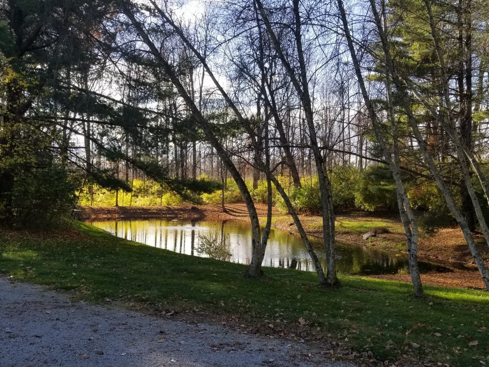 The Secret Garden-Waynesville必去景点