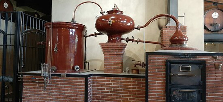 Easy Rider Wine Tours-斯泰伦博斯必去景点