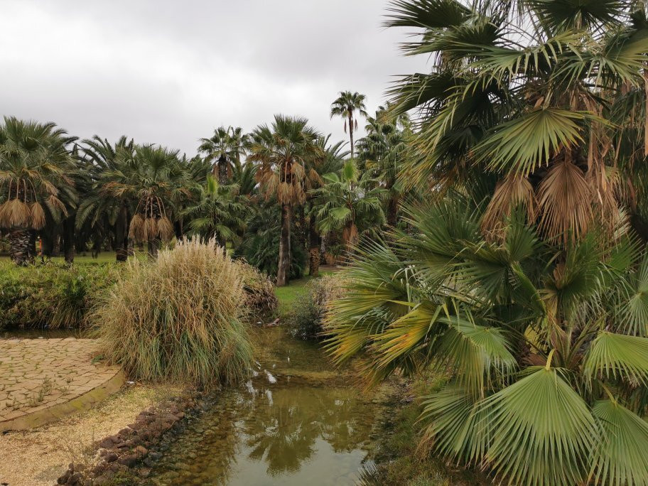 Parque Forestal Juan Carlos I-梅利利亚必去景点