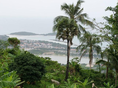 @ Samui Tour & Travel-呈塔累必去景点