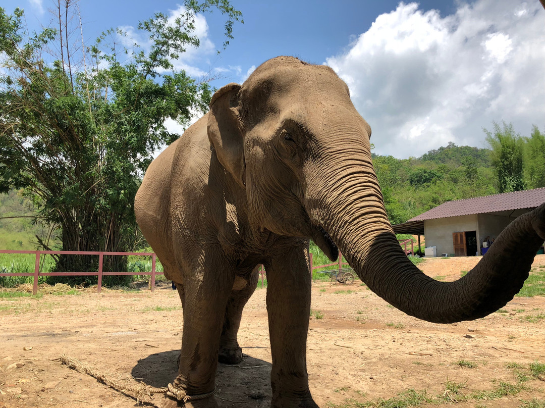 San Mahaphon旅游景点-Chiangmai Mountain Sanctuary