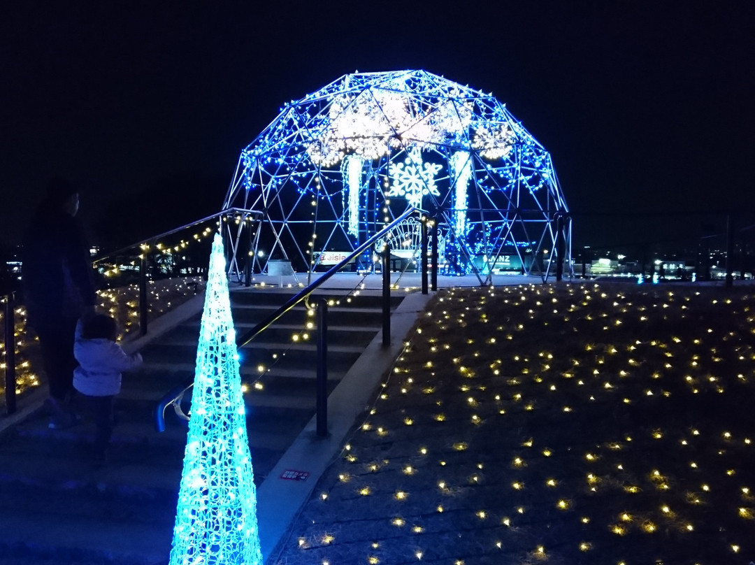 Marie Gold Nooka Park