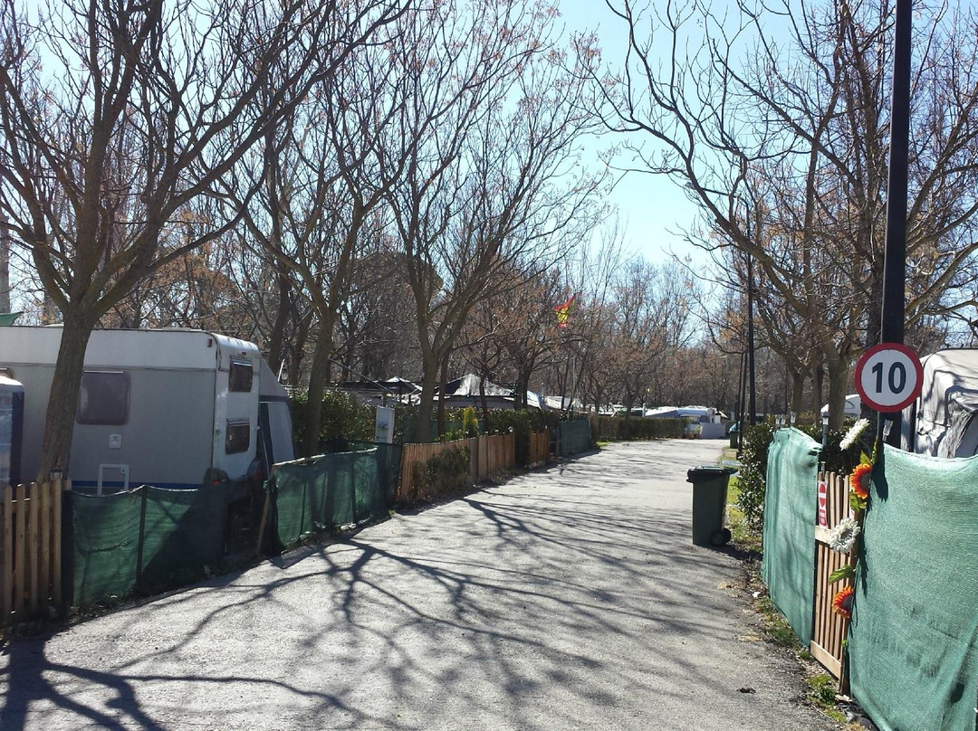 Camping Internacional Aranjuez