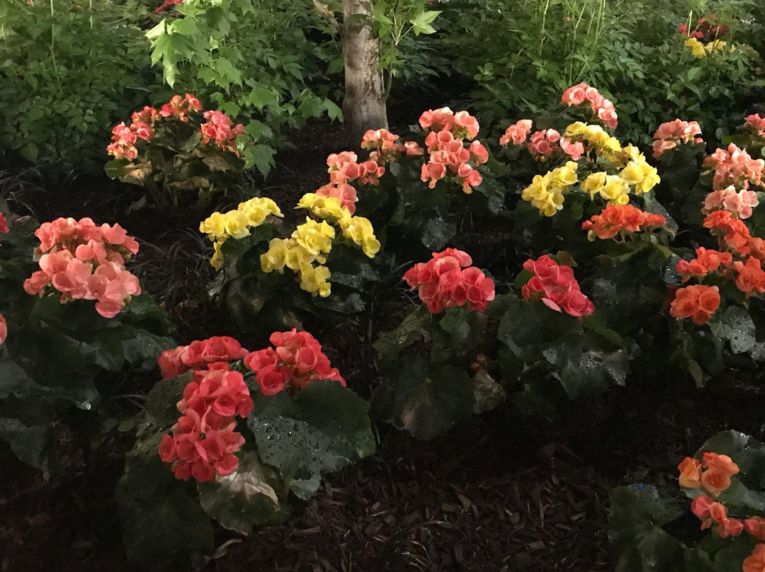 Hackensack旅游攻略图片