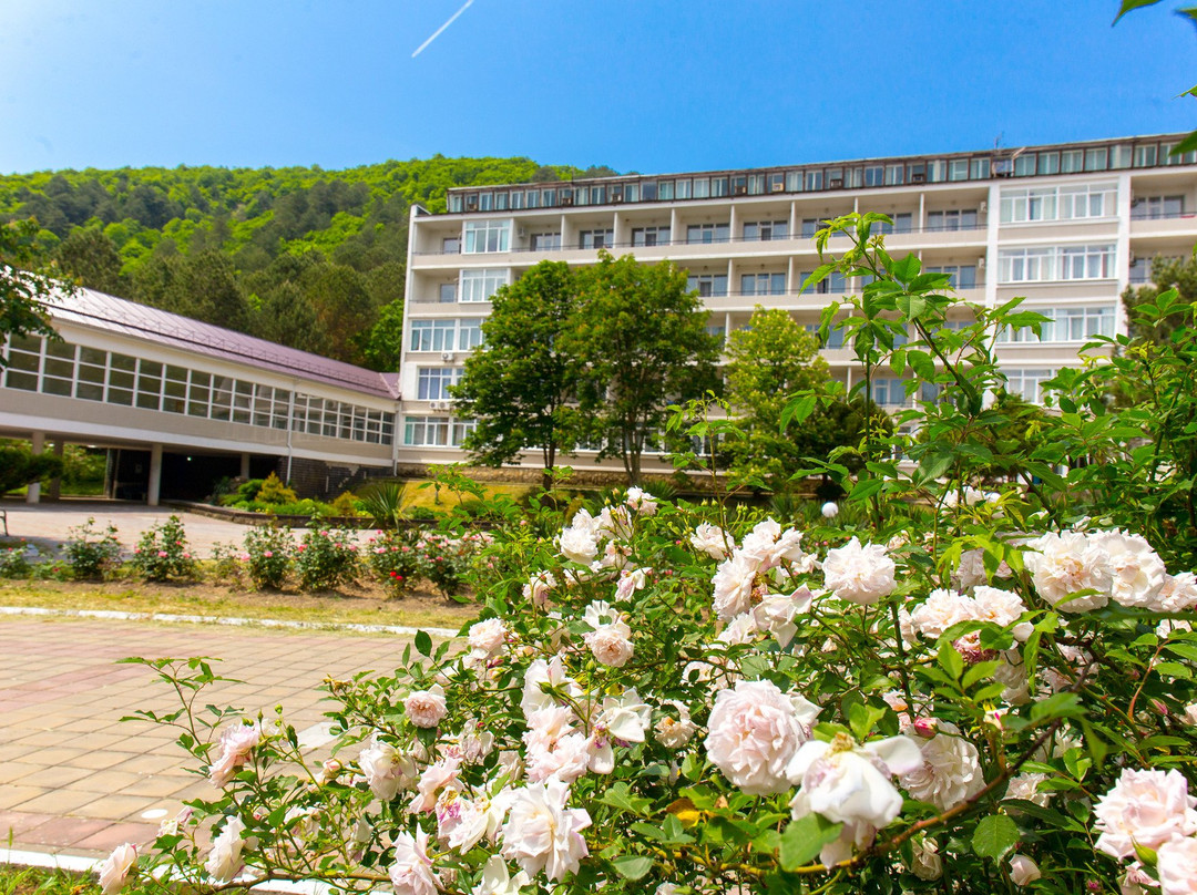 Arkhipo-Osipovka Sanatorium