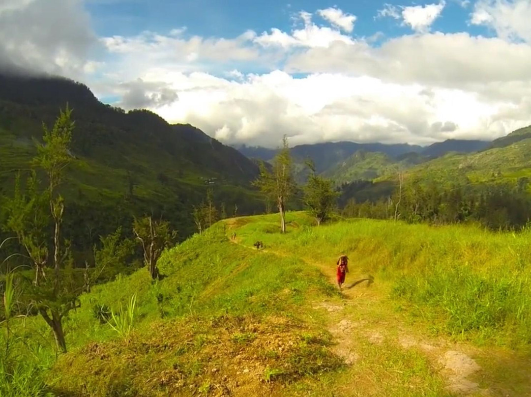 Baliem Valley Tour Guide景点图片