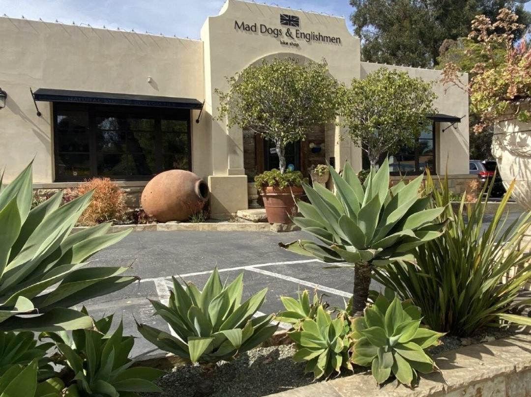 Mad Dogs & Englishmen