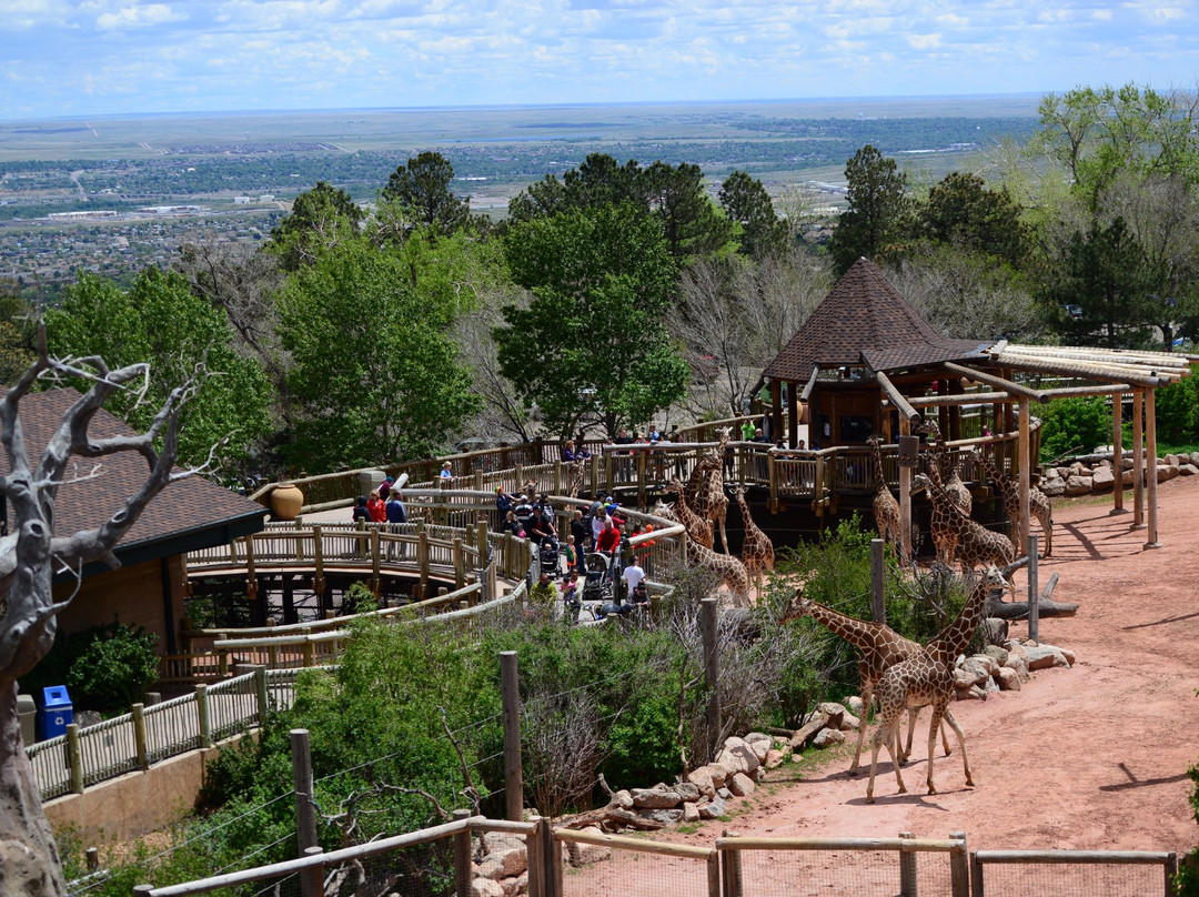 Cheyenne Mountain Zoo景点图片