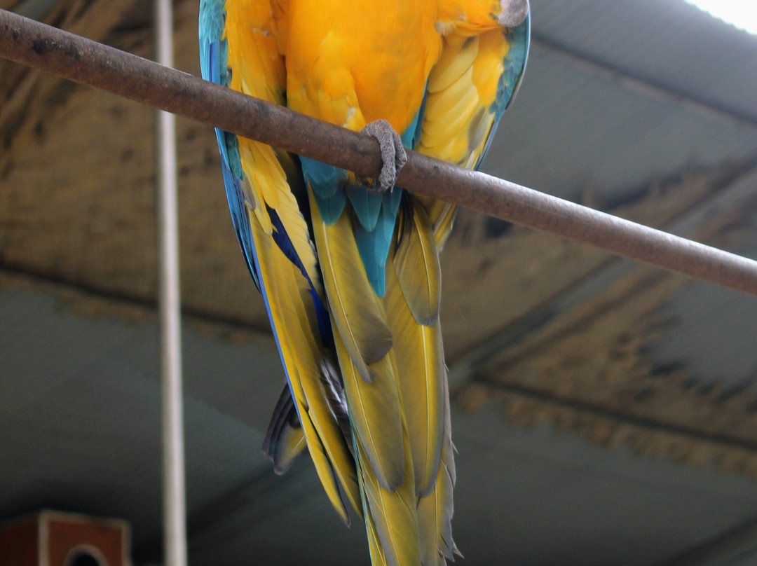 Bangabandhu Sheikh Mujib Safari Park