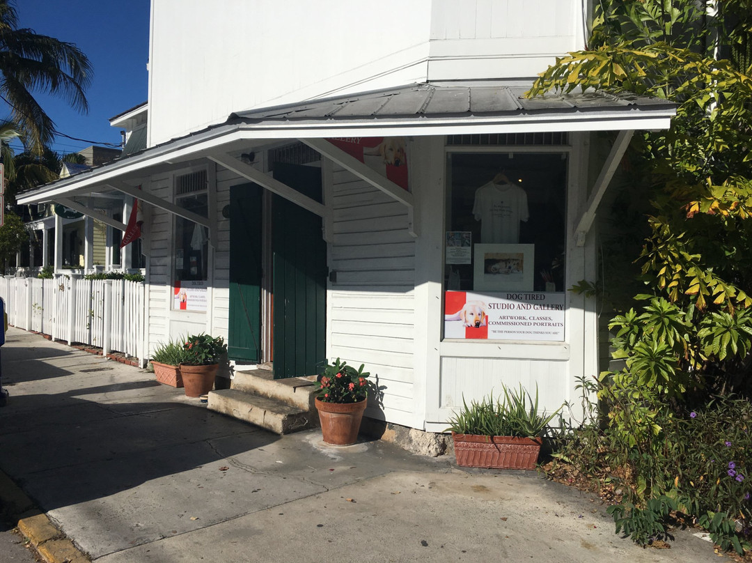 Dog Tired Studio and Gallery-基韦斯特必去景点