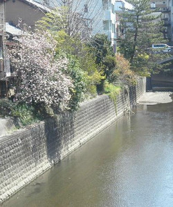 Shinmachi Furumachi景点门票图片