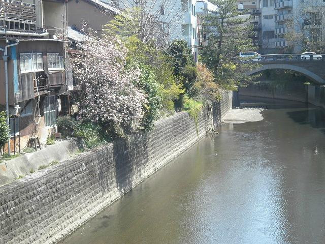 Shinmachi Furumachi景点图片