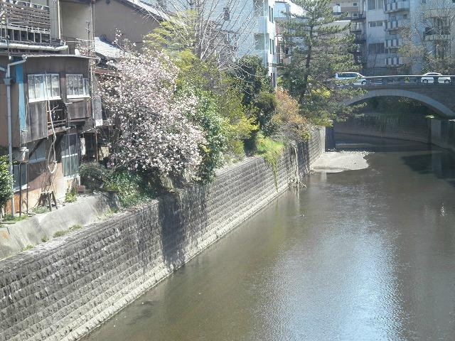 Shinmachi Furumachi-熊本市必去景点