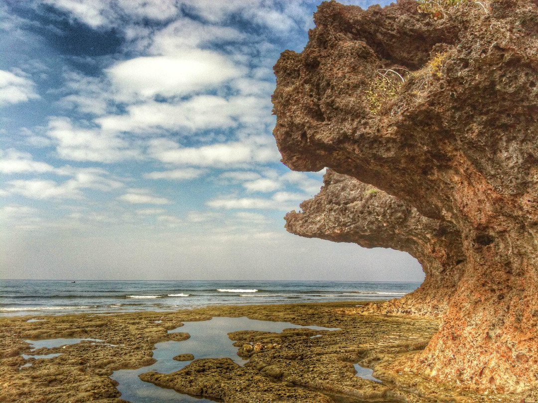 Agno Umbrella Rocks景点图片