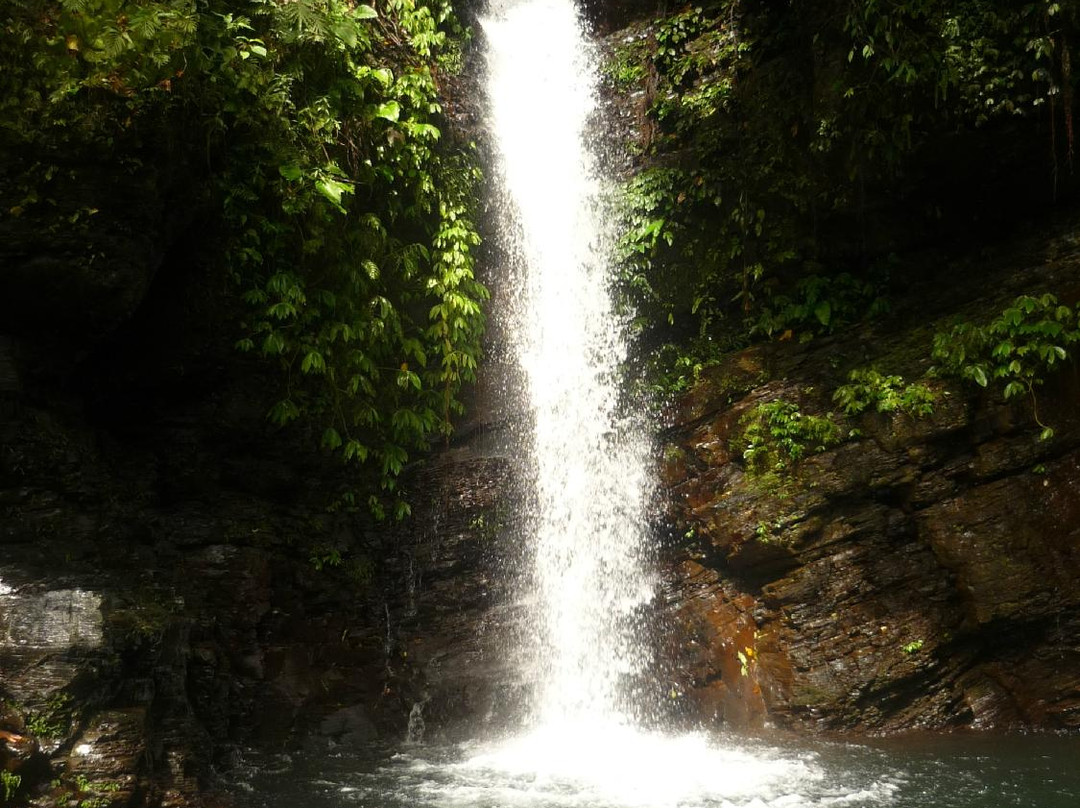 Kasabangan Falls景点图片