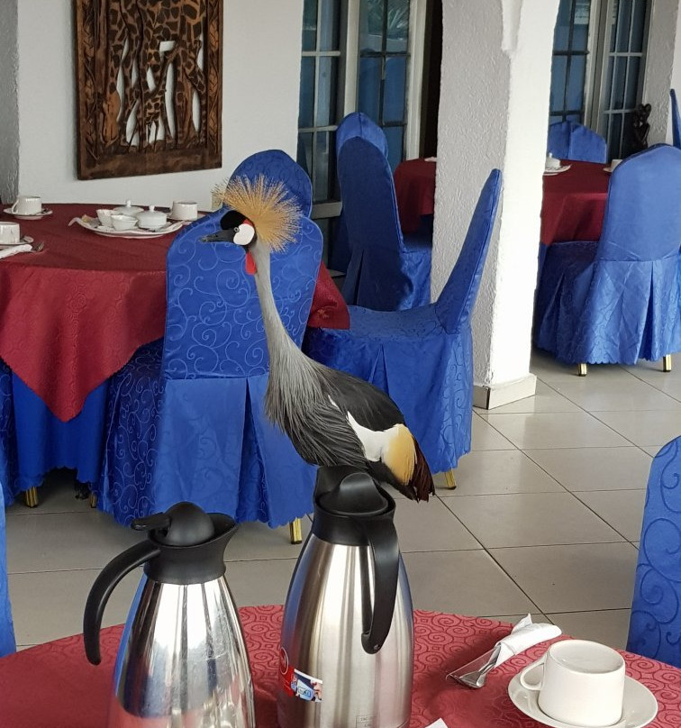 Cap Kivu Hotel主图