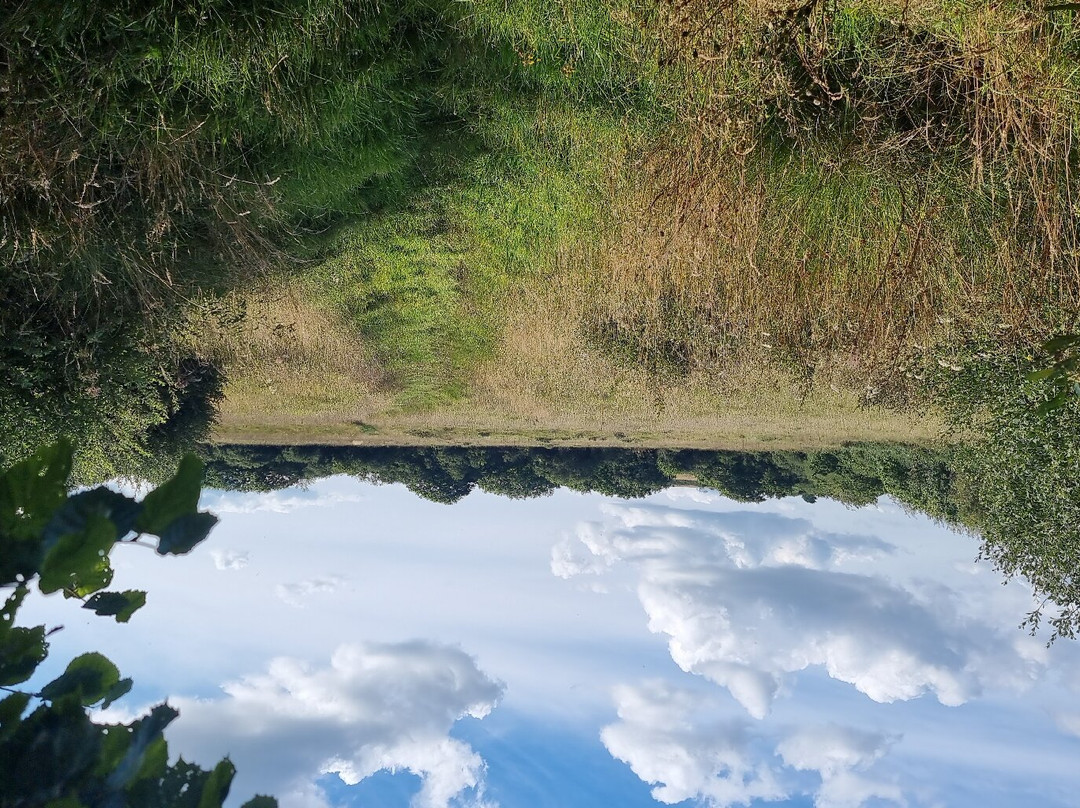 Volehouse Nature Reserve