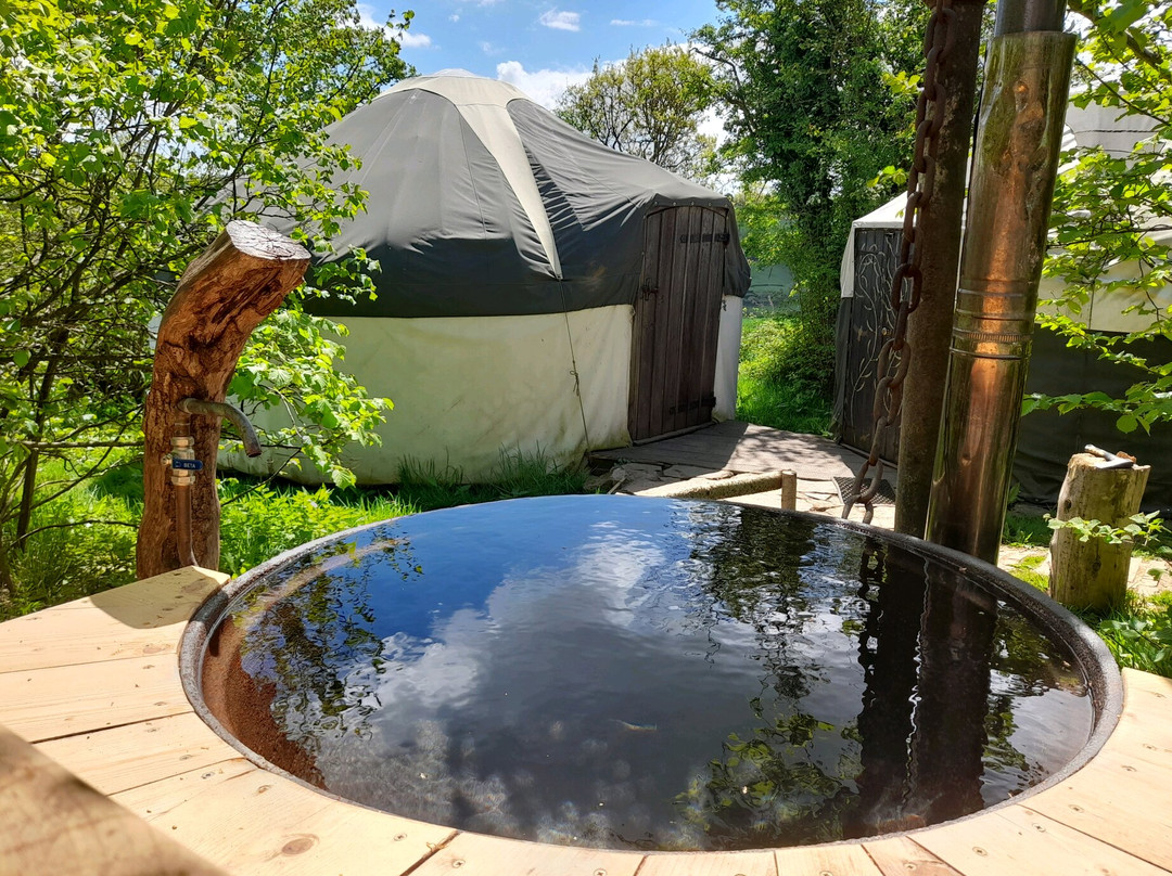 Goytree Glamping and Treehouses