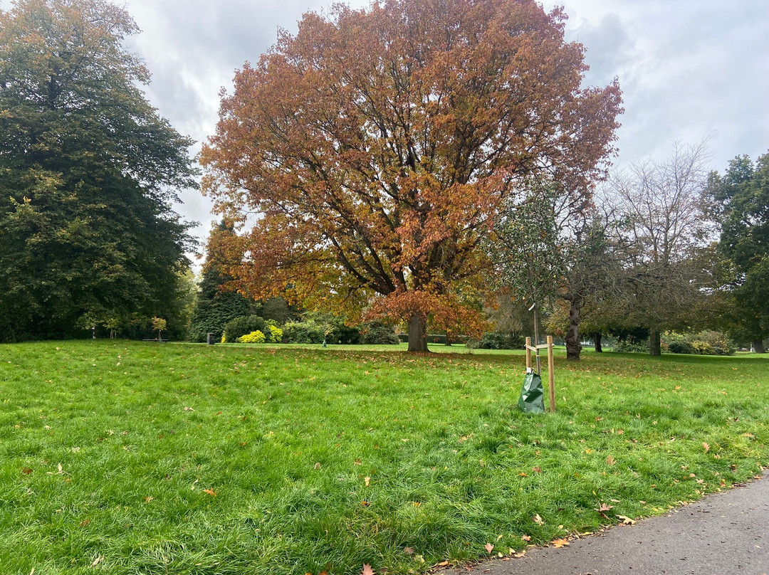 Barra Hall Park景点图片