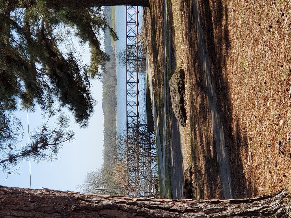 Martin Creek Lake State Park景点图片