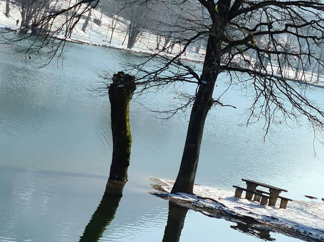 Lac de la Balme景点图片