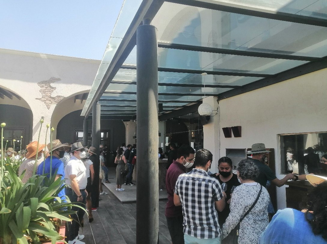 Vinedos Donato-克雷塔罗必去景点