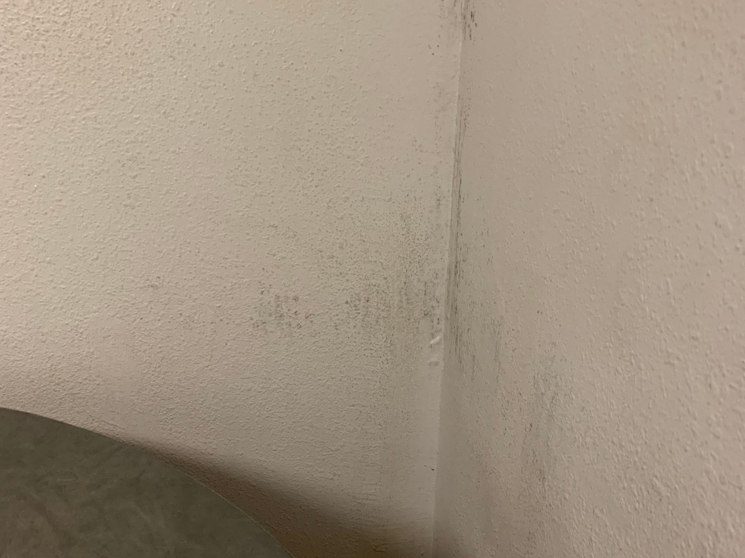 Symes Hot Springs Hotel主图