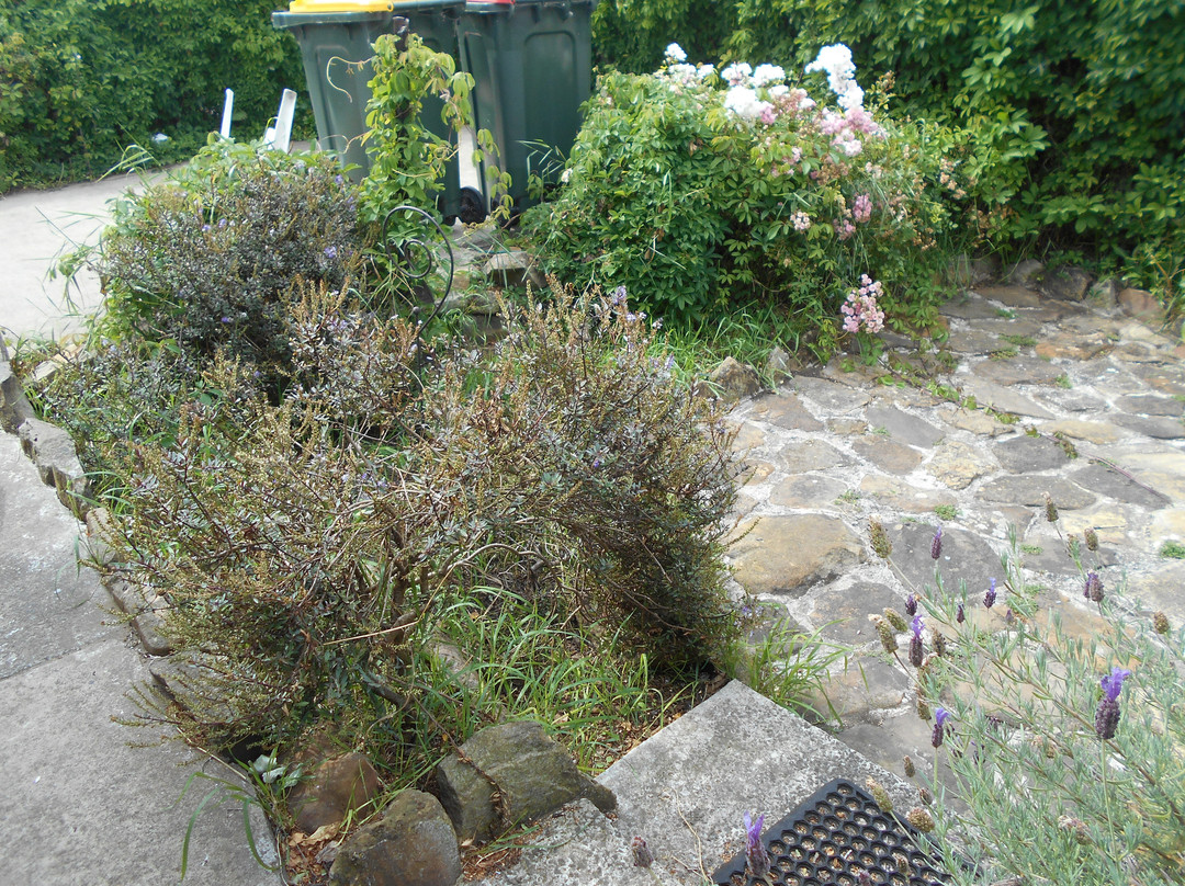 Oatlands Retreat主图