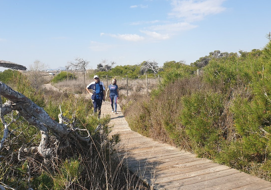 Mirador De Aves-San Pedro del Pinatar必去景点