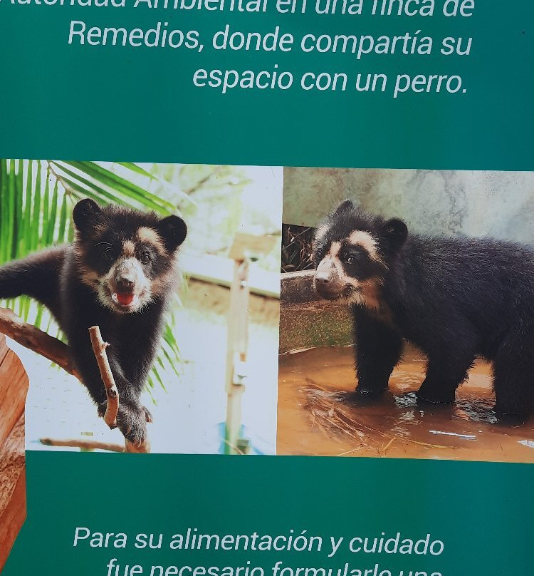 Parque de la Conservación-麦德林必去景点