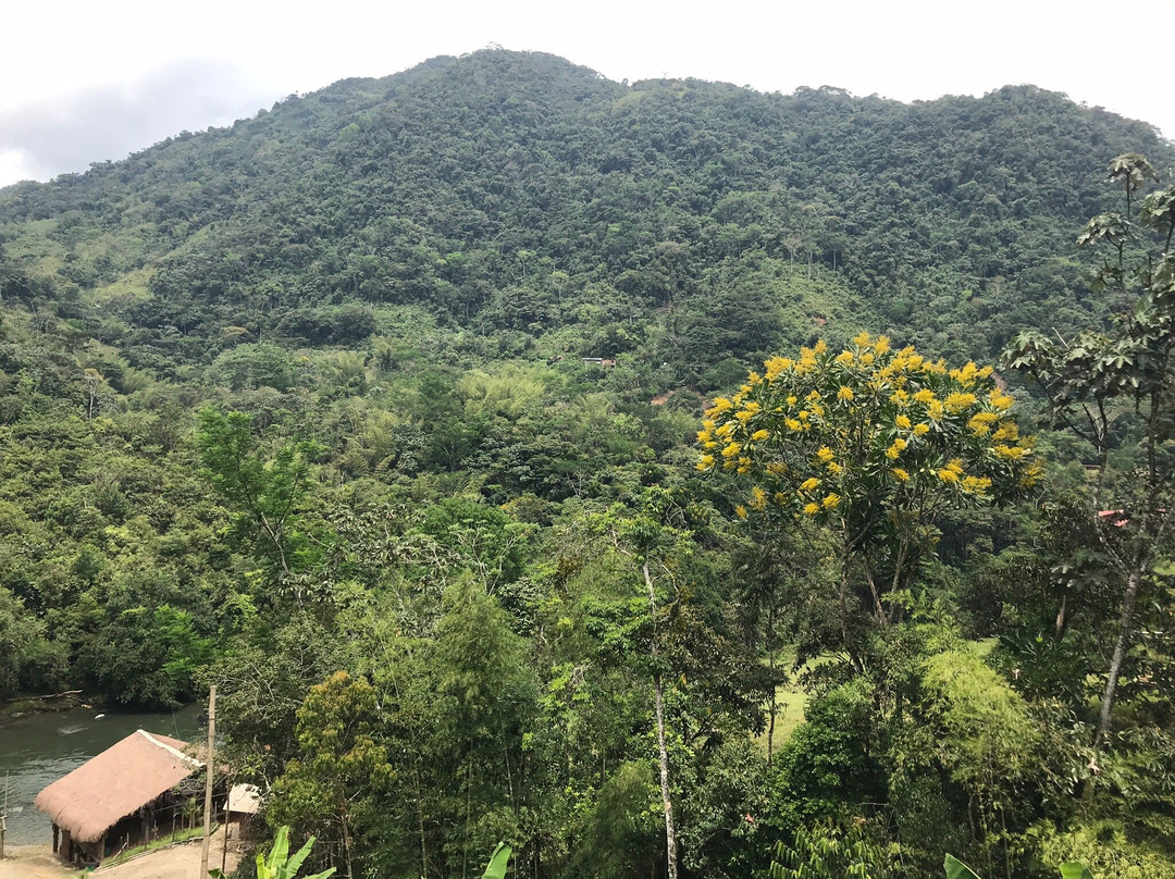 Aguas De La Montaña