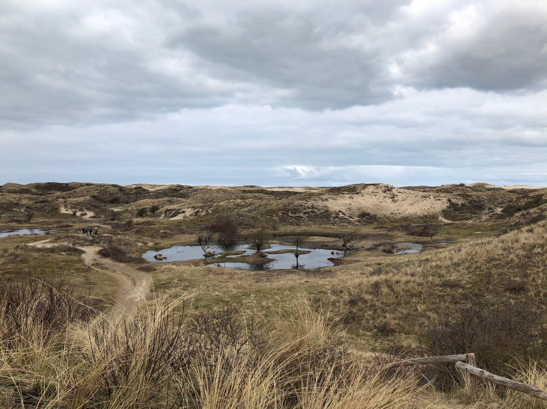 Hotel Bleecker主图