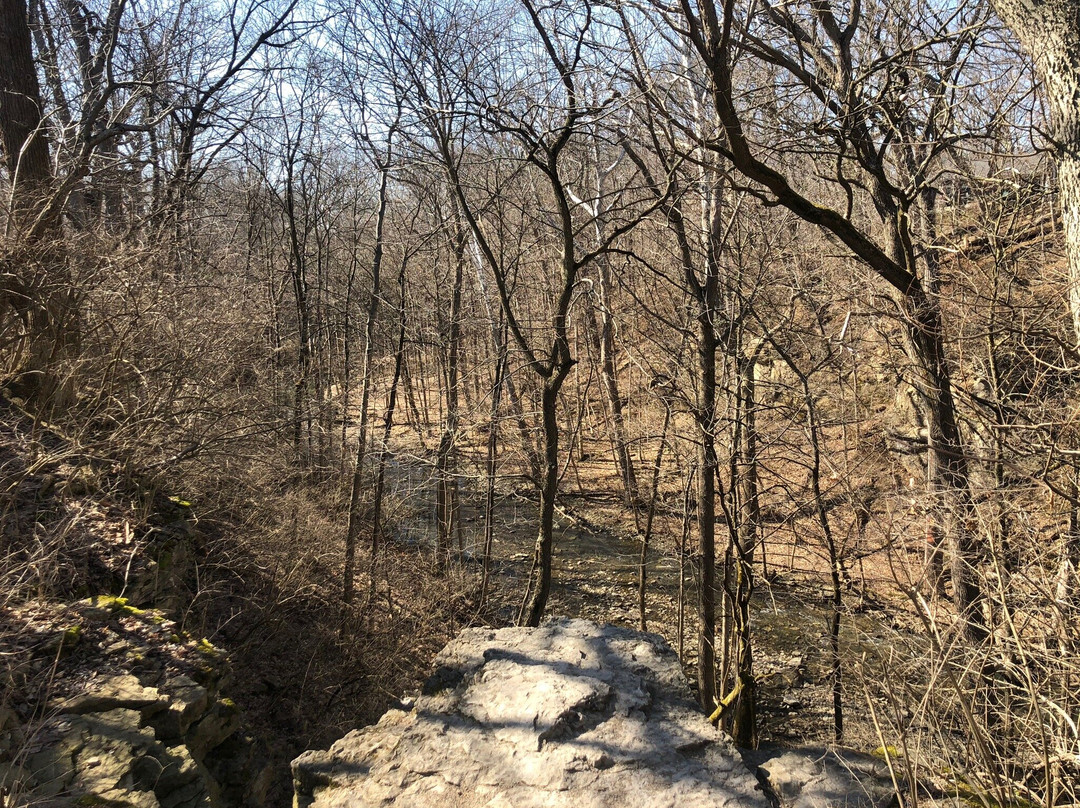 Indian Run Falls-都柏林必去景点