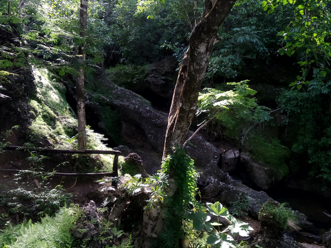 Cachoeira Santa Lázara-Colinas do Sul必去景点