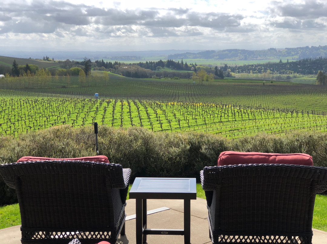 Bethel Heights Vineyard-塞勒姆必去景点