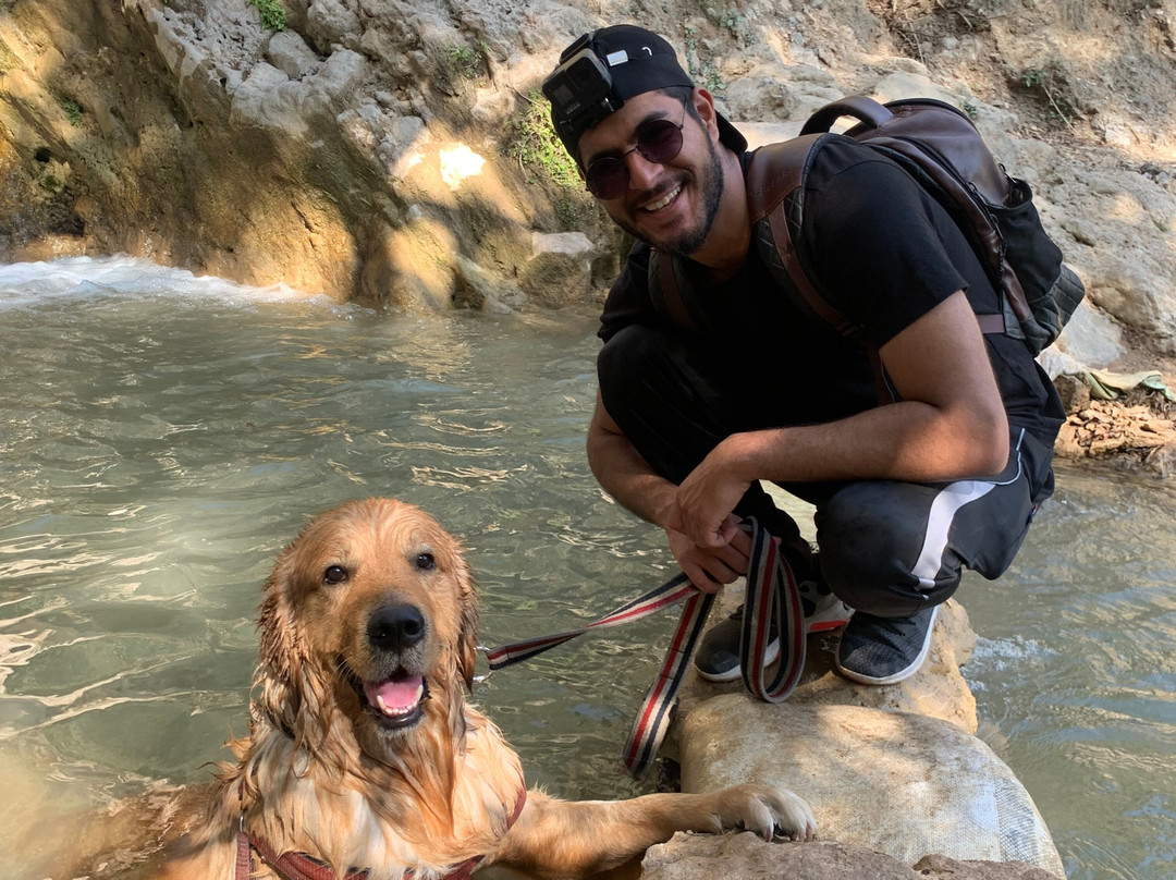 Founders Home by I-Create主图