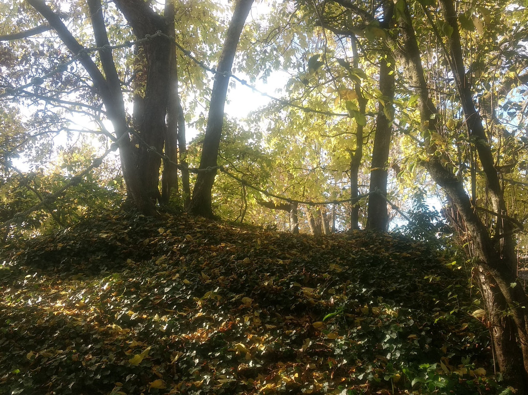 La Bouere Salee主图