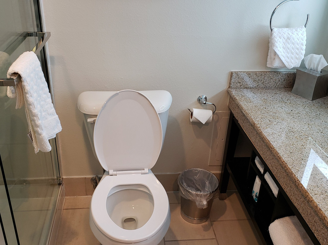 Best Western Premier Denver East主图