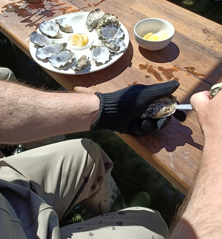 Oyster Farm Tours景点图片